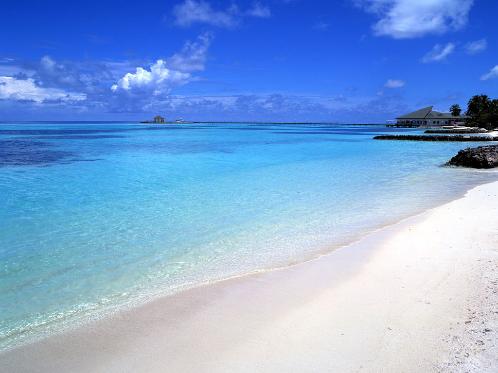 Летняя тема