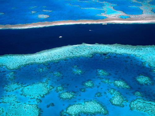 Летняя тема