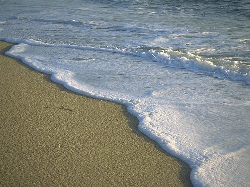 Летняя тема