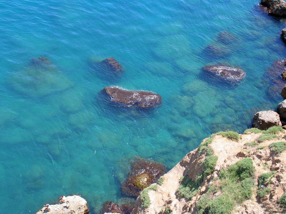 Летняя тема