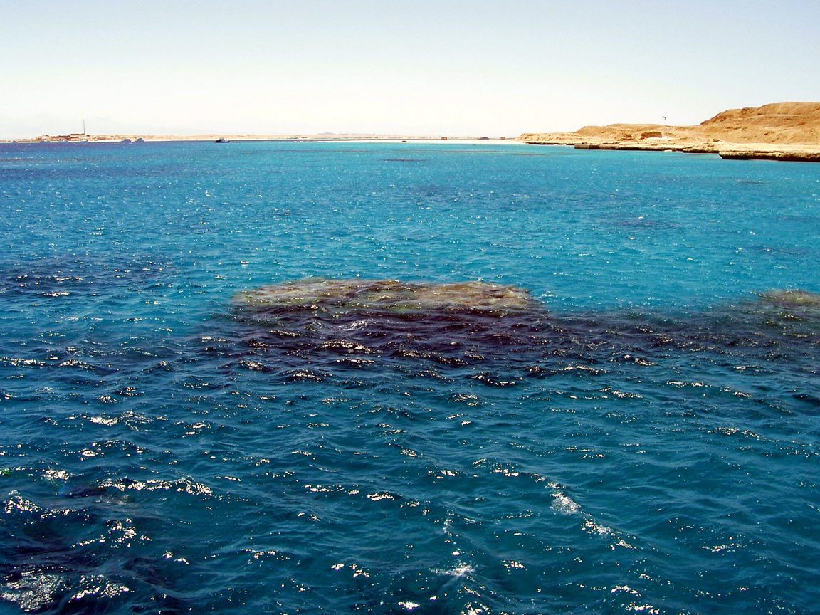 Летняя тема