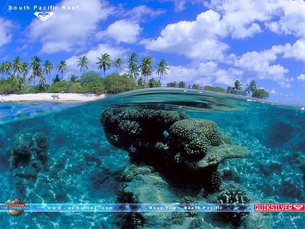 Летняя тема