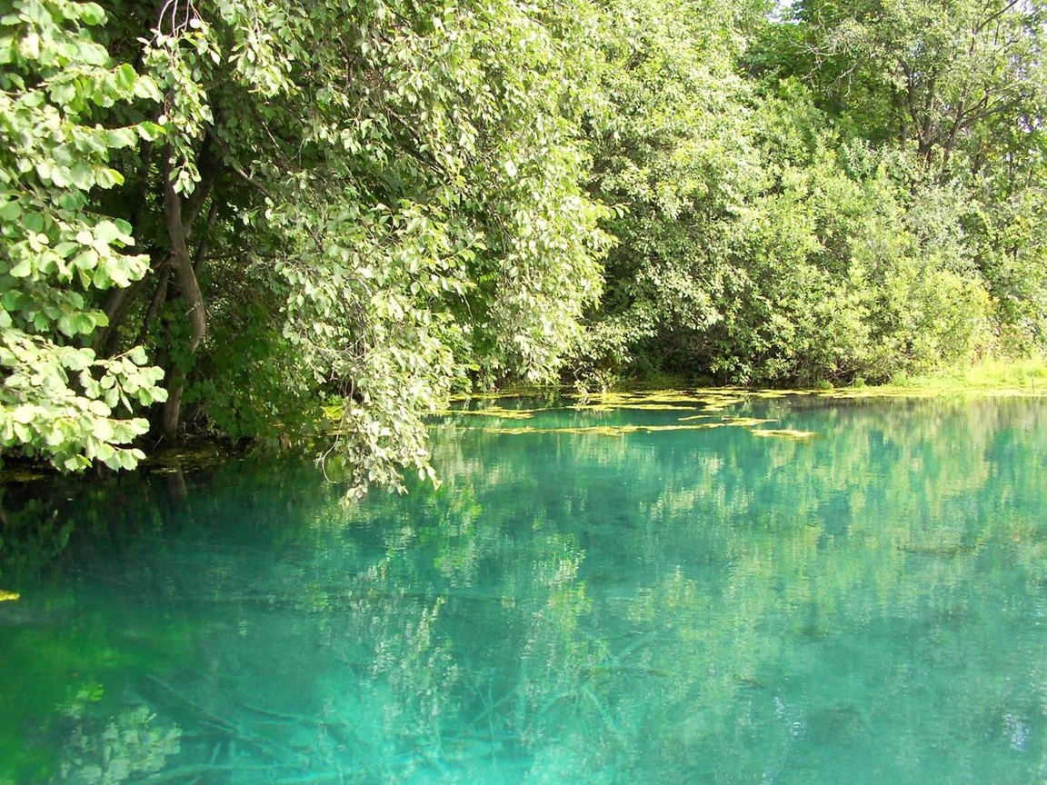 Летняя тема