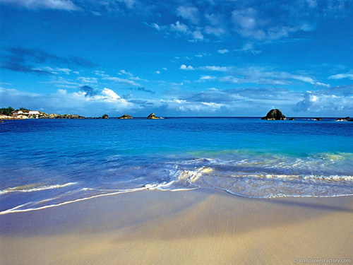 Летняя тема