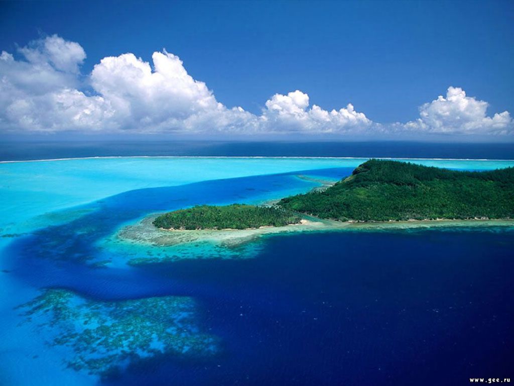 Летняя тема