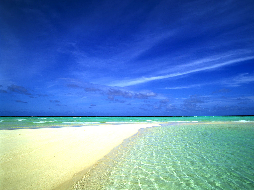 Летняя тема