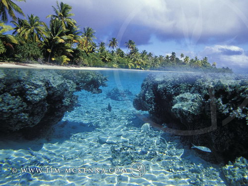 Летняя тема