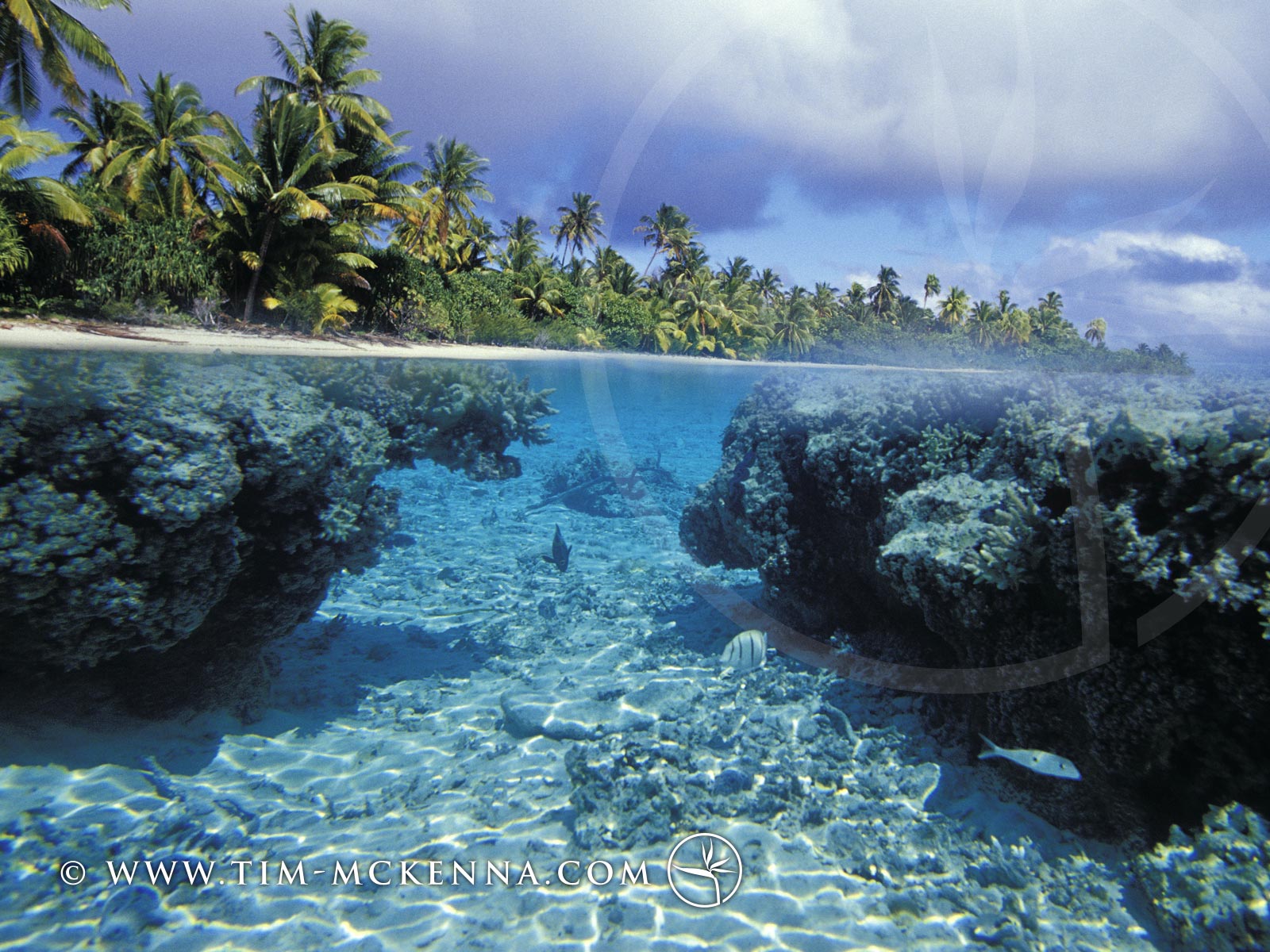 Летняя тема