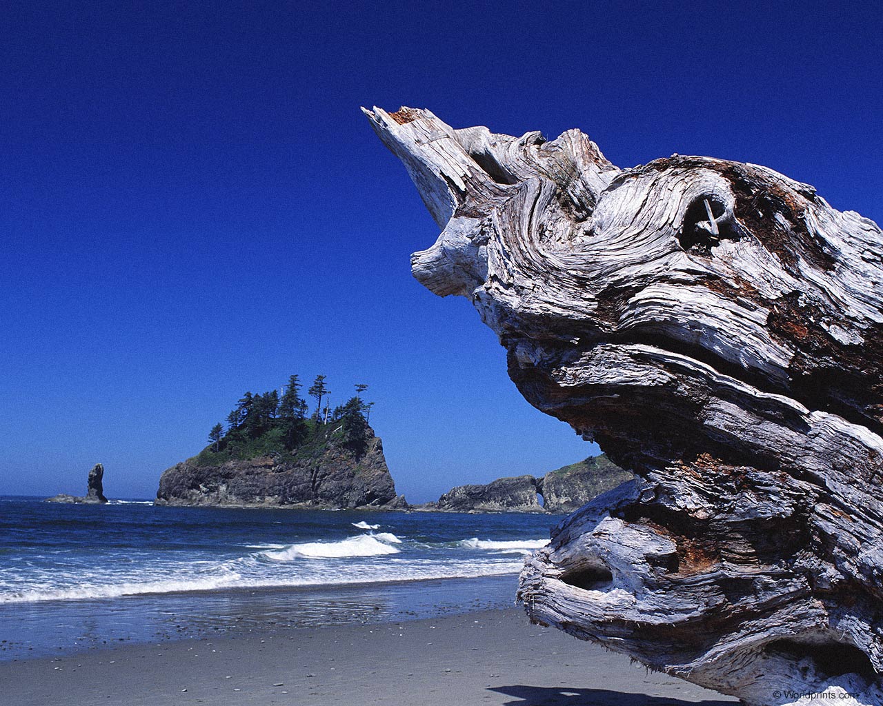 Летняя тема