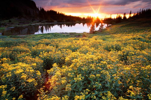 Восходы, закаты.