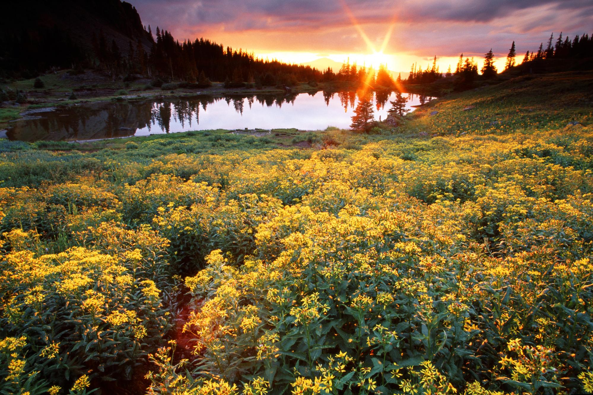 Восходы, закаты.