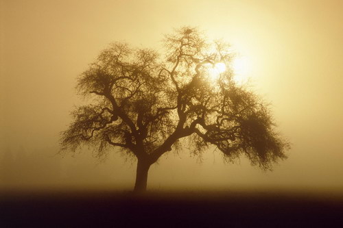 Восходы, закаты.