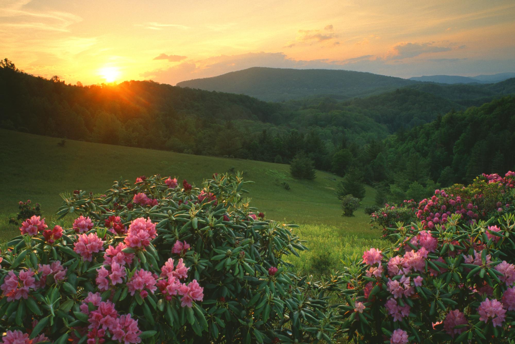 Восходы, закаты.