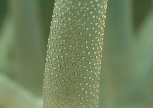 Подводный мир