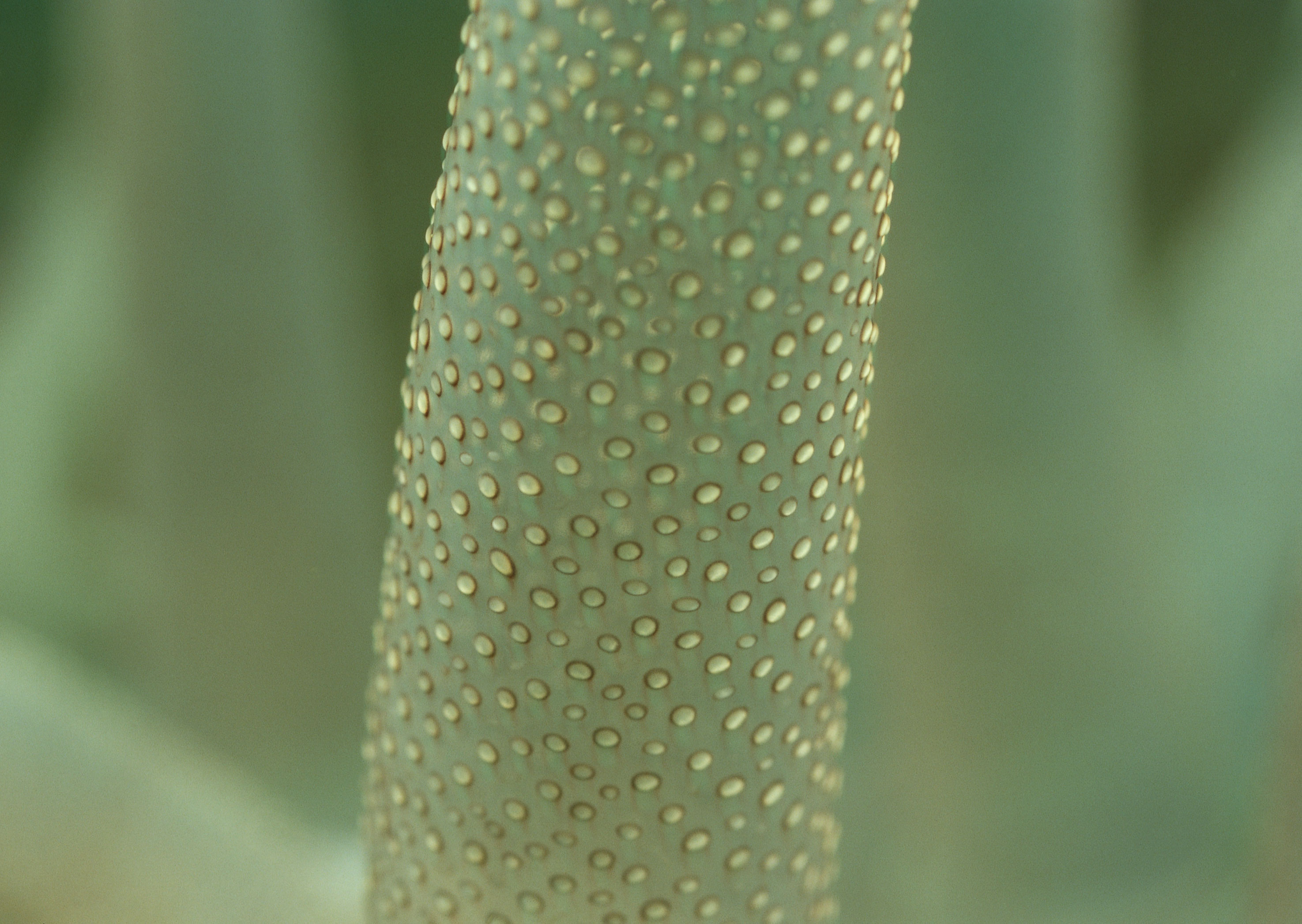 Подводный мир