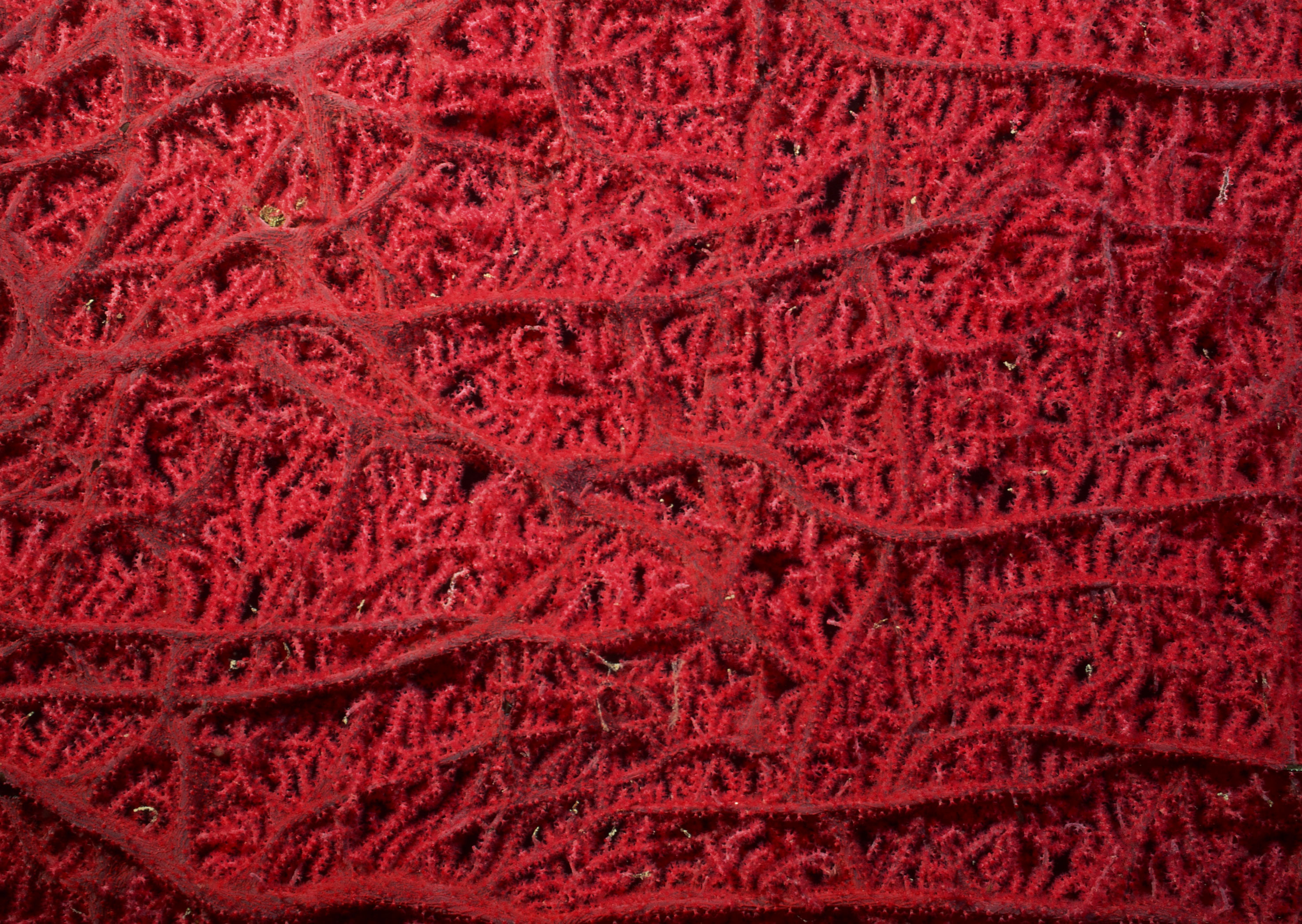 Подводный мир