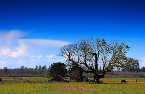 Широкоформатные