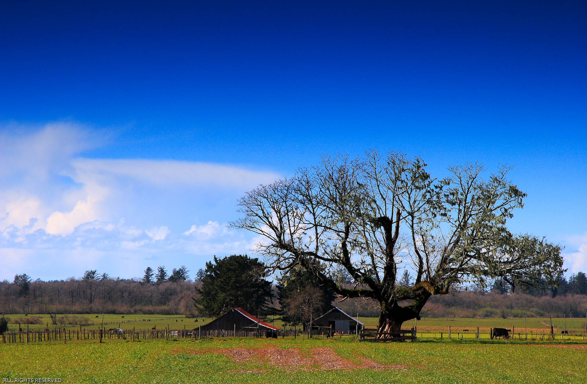 Широкоформатные