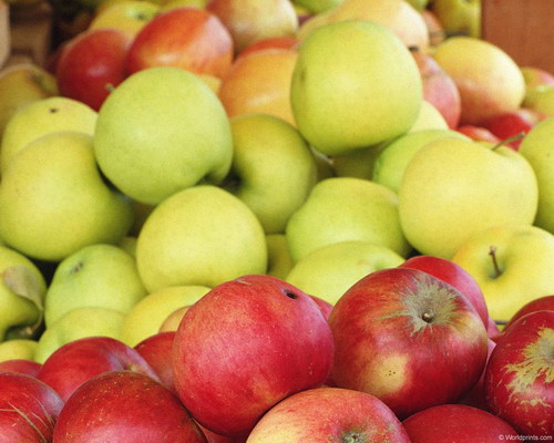 русские яблоки на рабочий стол