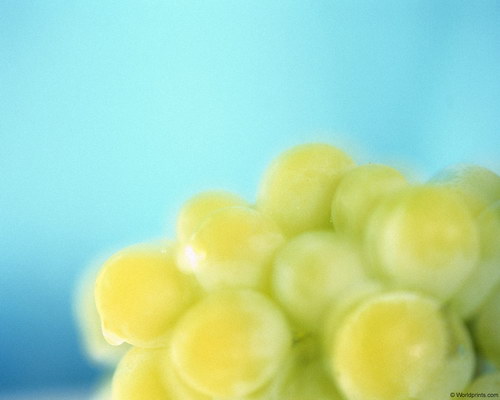 гроздь винограда на рабочий стол