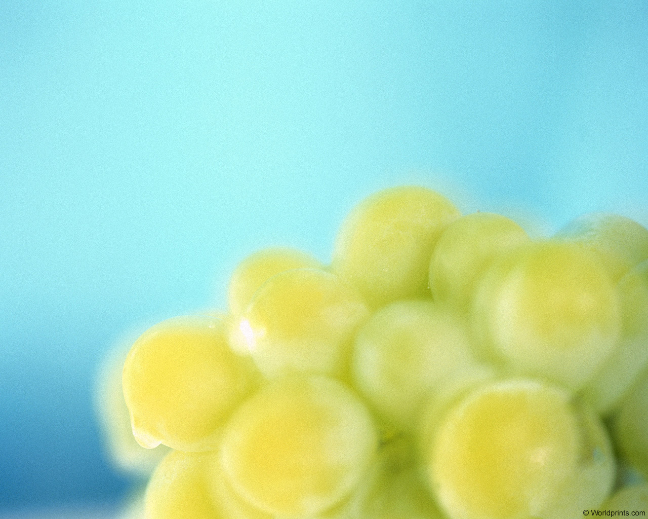 Витамины на рабочий стол