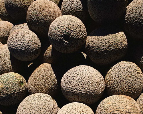 дыни на рабочий стол