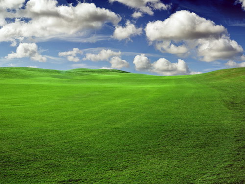 Зелень для рабочего стола