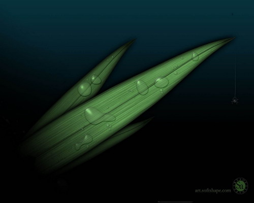 Зелень для рабочего стола