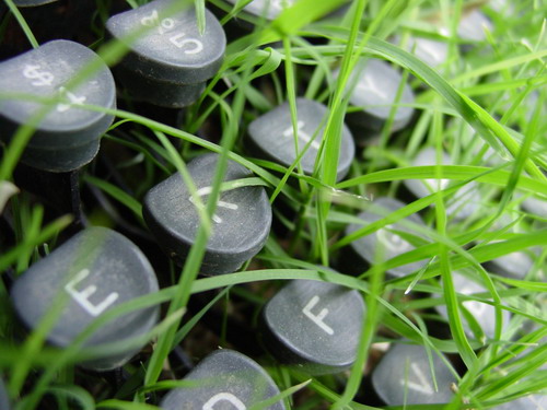 Зелень для рабочего стола