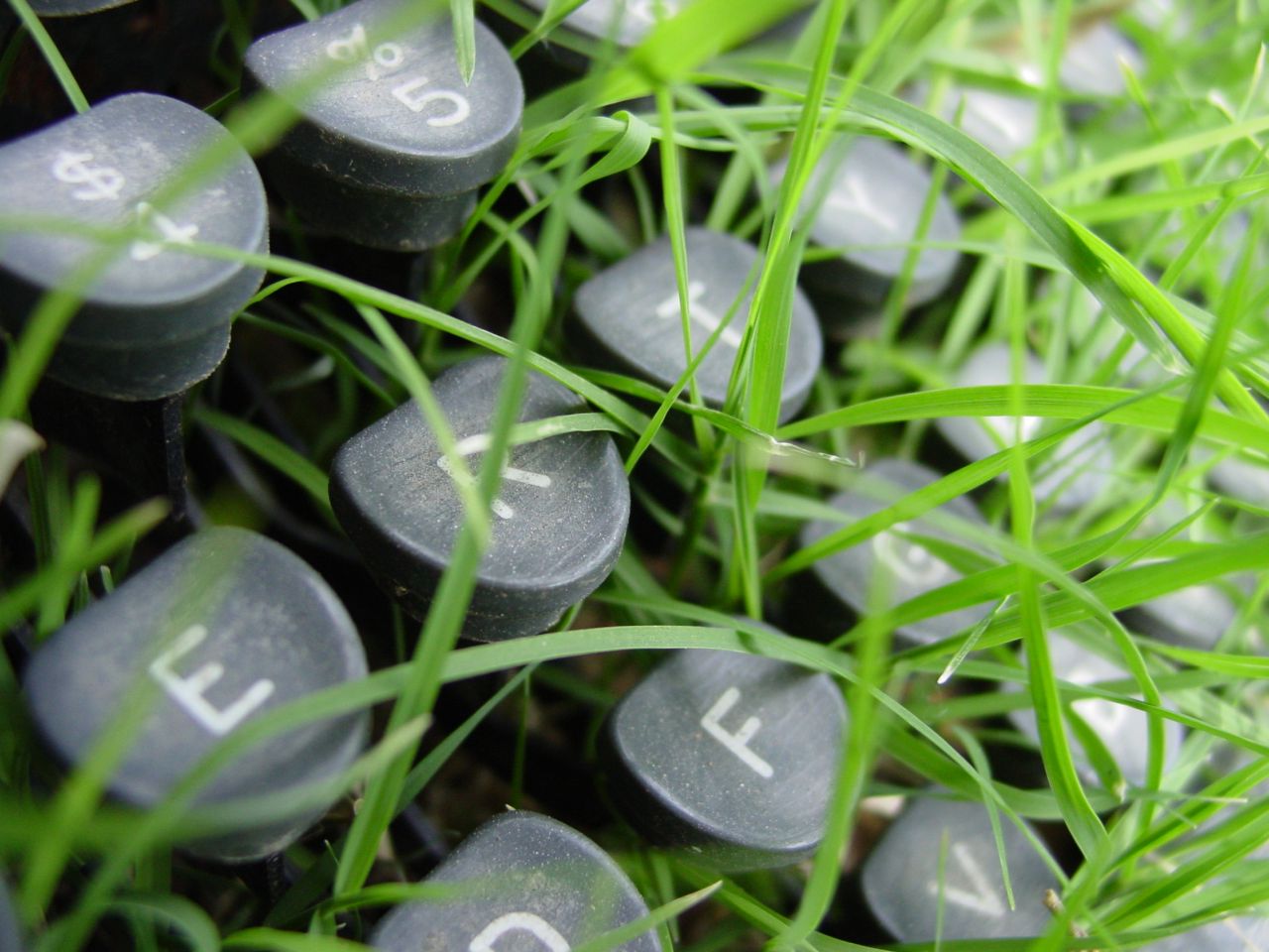 Зелень для рабочего стола