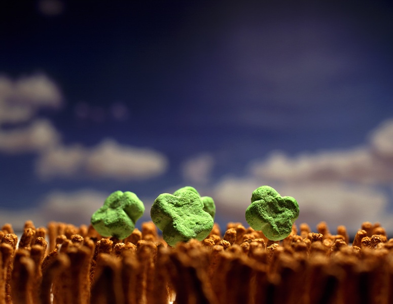 Теплые обои