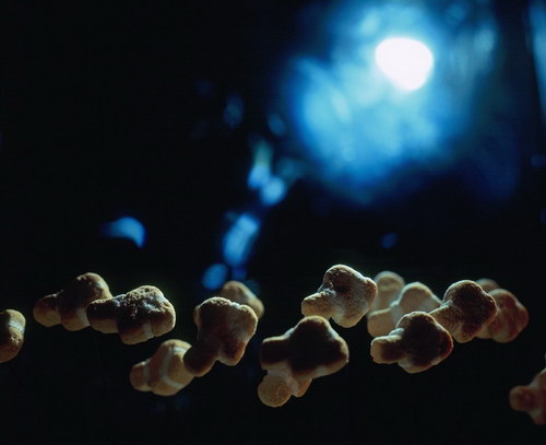 Теплые обои