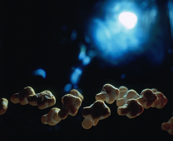 Теплые обои