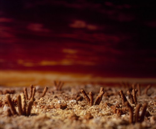 Теплые обои