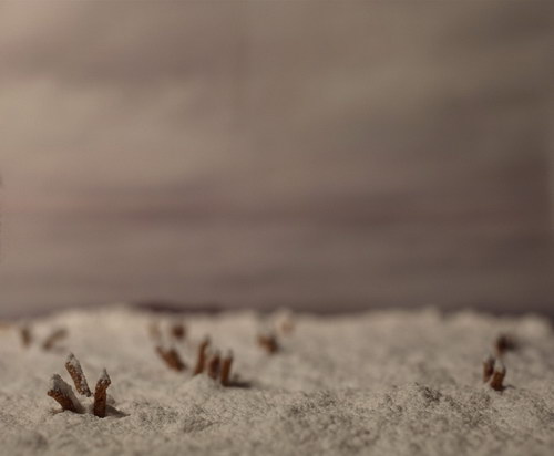 Теплые обои