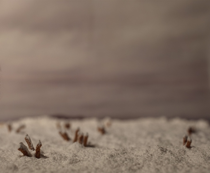 Теплые обои