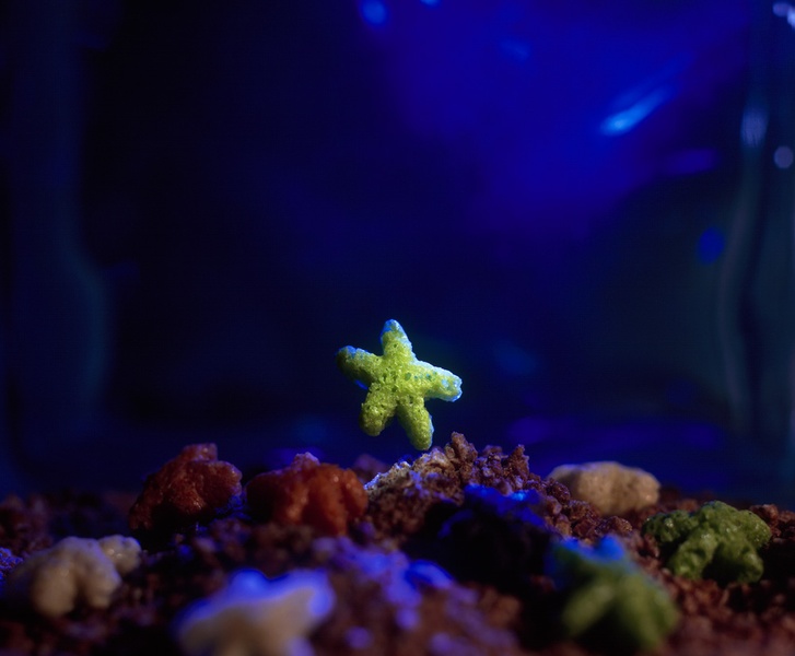 Теплые обои