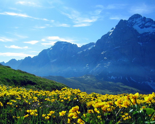 Обои с красивой природой