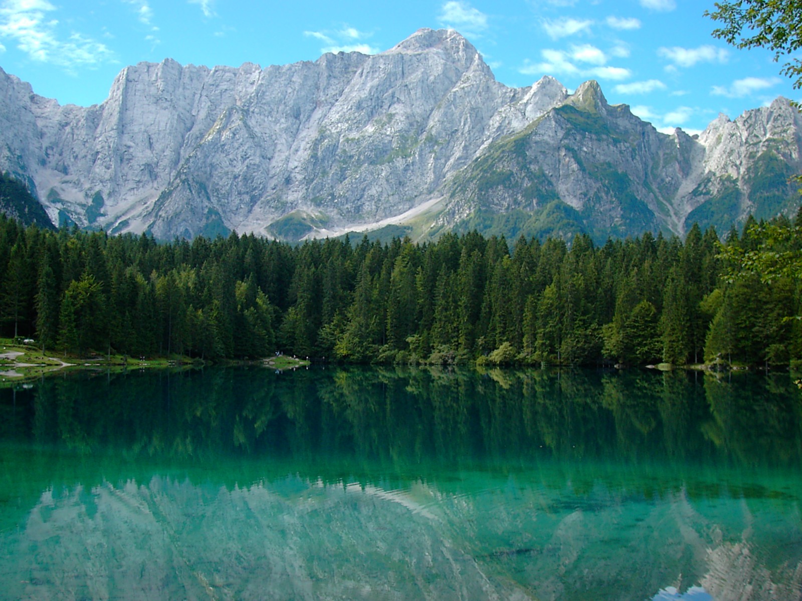 Обои с красивой природой