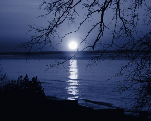 Обои с красивой природой