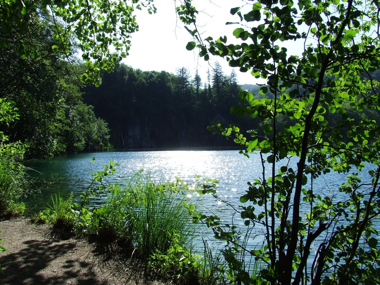 Обои с красивой природой