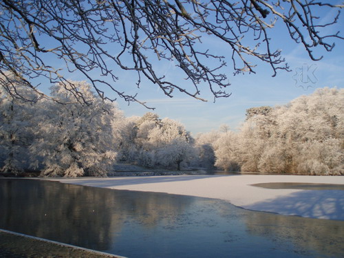 Обои с красивой природой