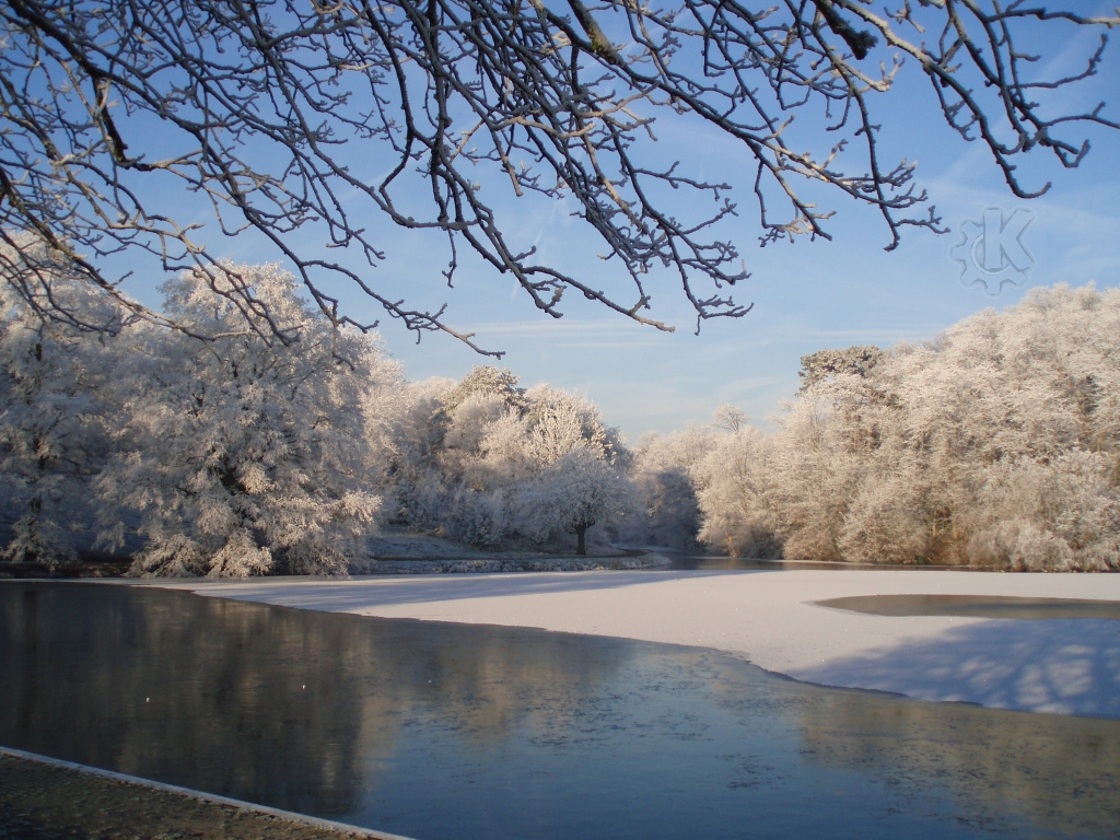 Обои с красивой природой