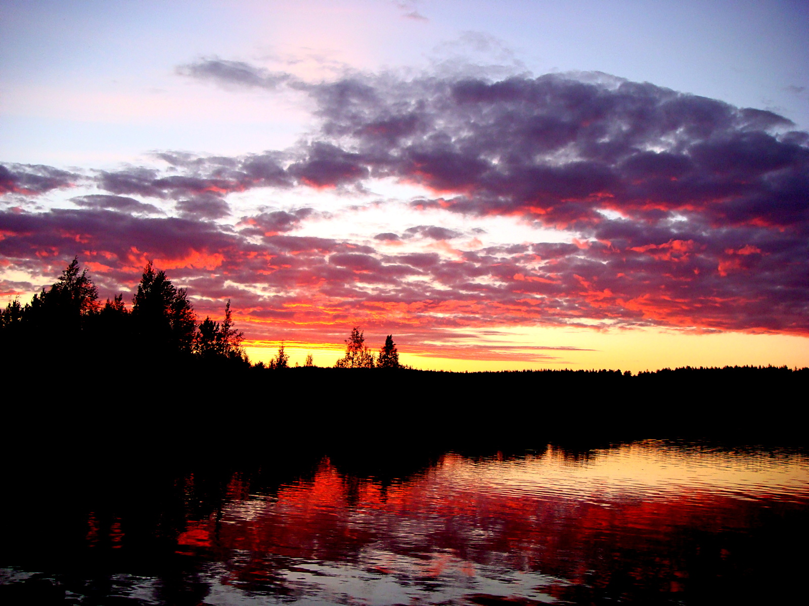 Обои с красивой природой