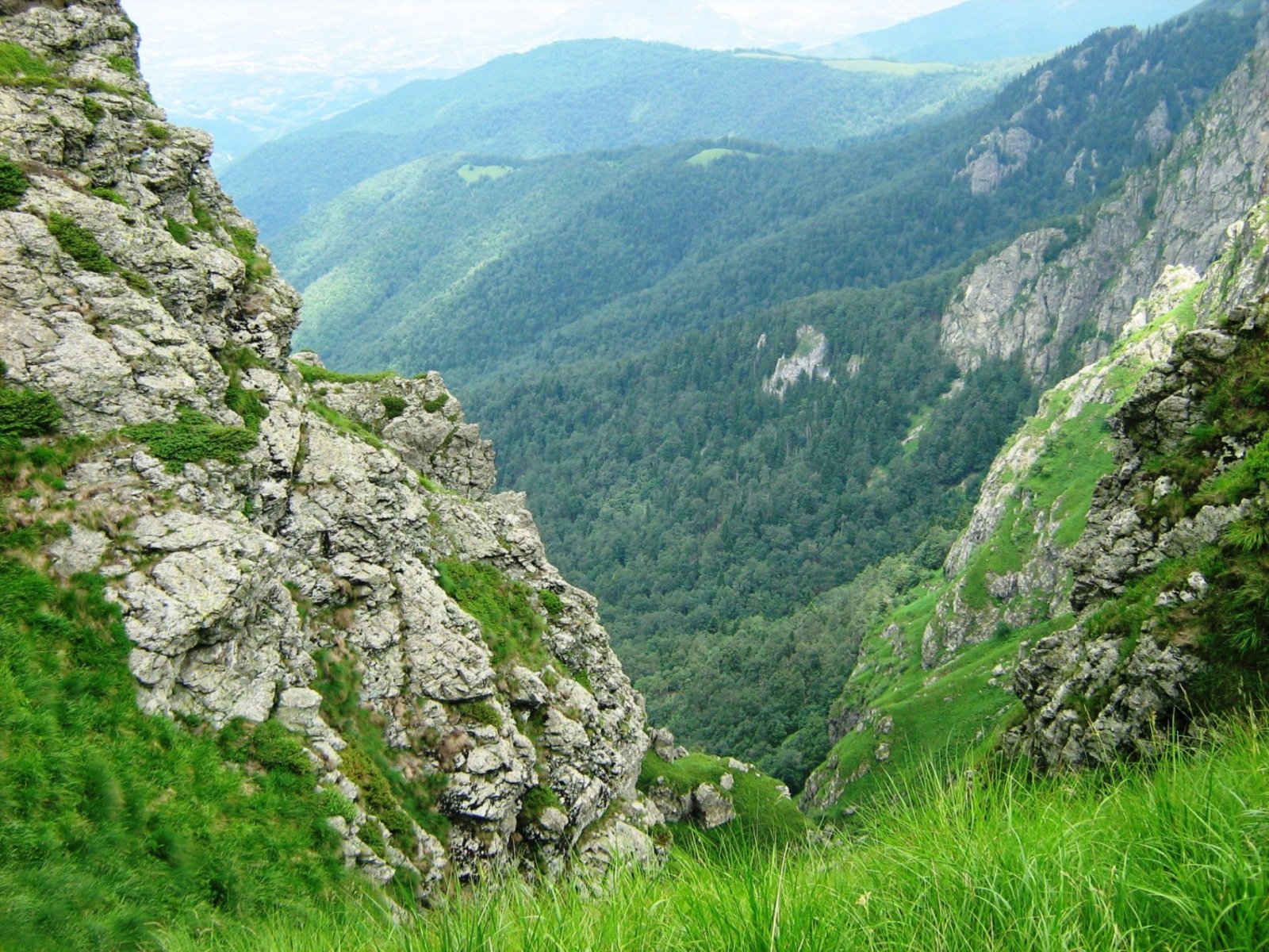 Обои с красивой природой