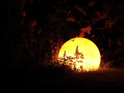 Обои с красивой природой