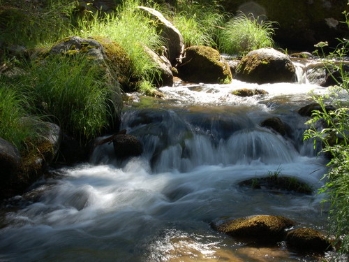 Обои с красивой природой