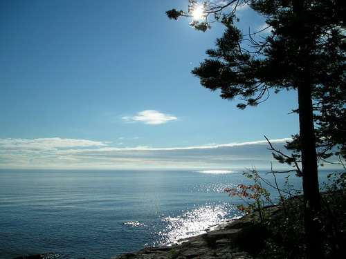 Обои с красивой природой