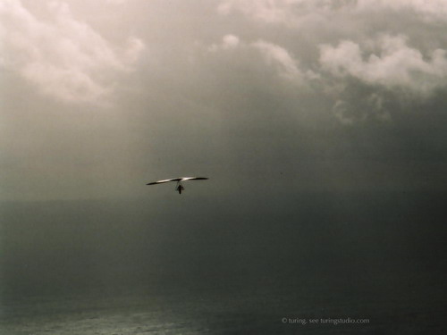 Обои с красивой природой