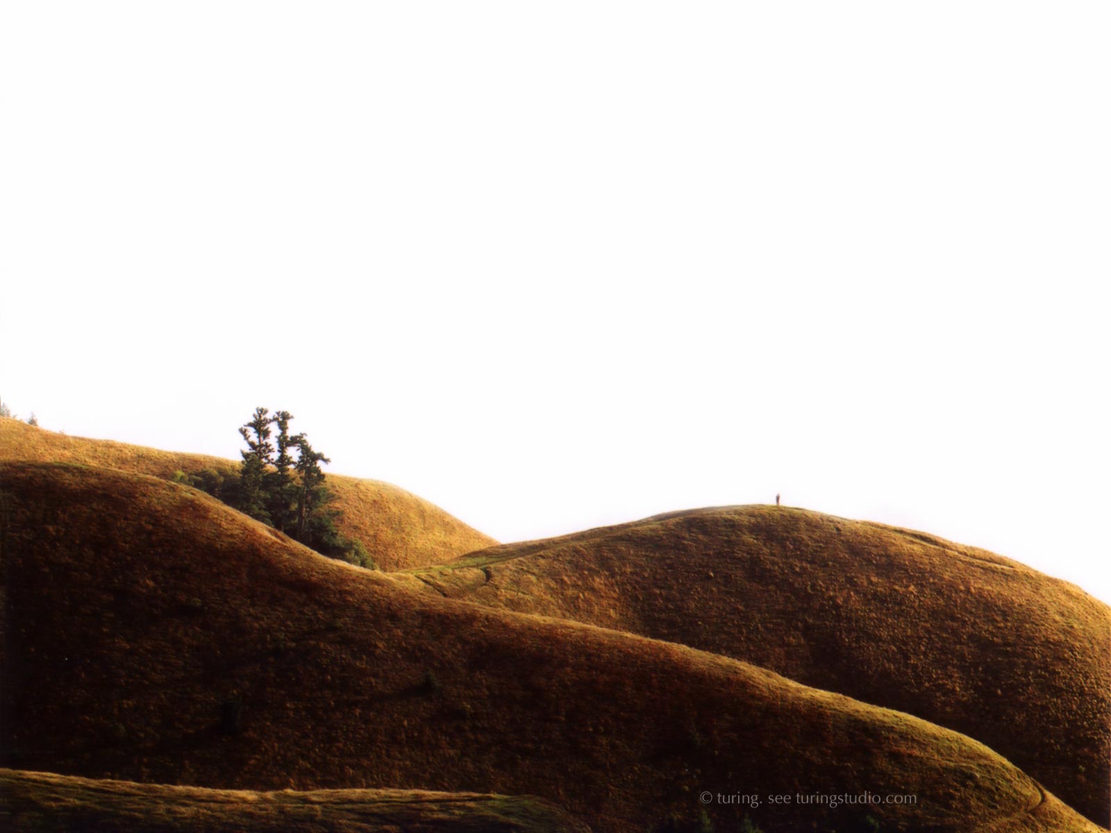 Обои с красивой природой